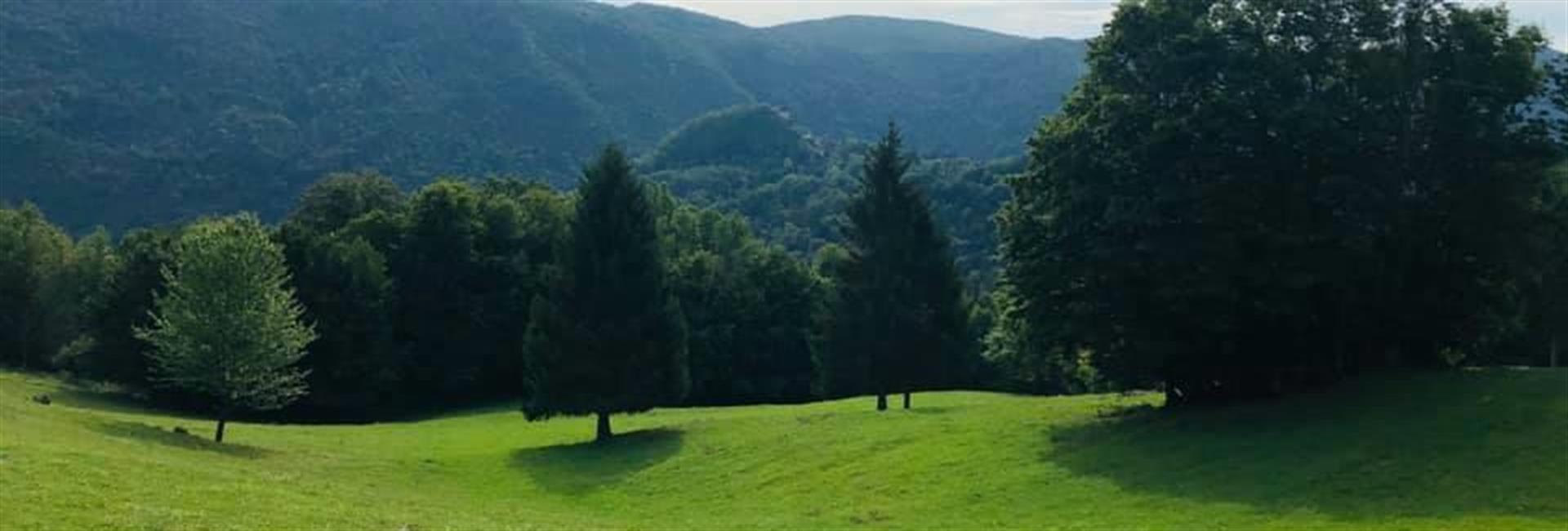 Razgibana kostelska pokrajina