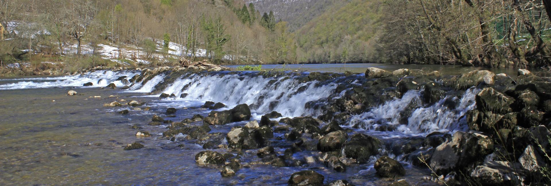 Brzice na reki Kolpi