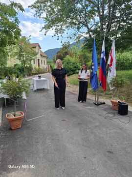 IMG-470b6f1deacd6d48d408cda0094d338e-V