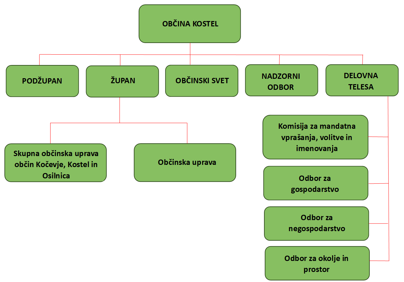 Organigram